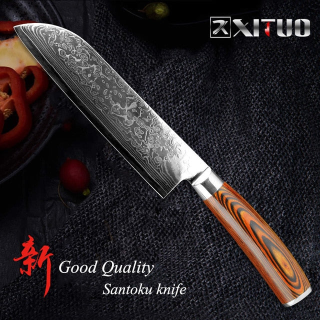 XITUO 5.5"inch Boning knife super sharp Japanese VG10 steel kitchen Damascus Utility knives Color wood handle Fish knife gift