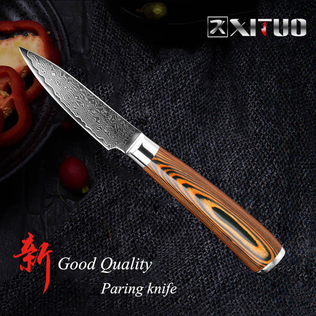 XITUO 5.5"inch Boning knife super sharp Japanese VG10 steel kitchen Damascus Utility knives Color wood handle Fish knife gift