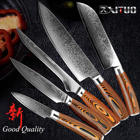 XITUO 5.5"inch Boning knife super sharp Japanese VG10 steel kitchen Damascus Utility knives Color wood handle Fish knife gift