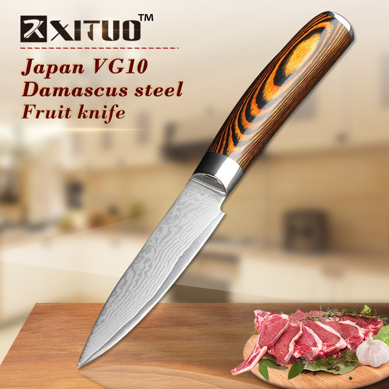 XITUO High quality utility knife Kitchen knife Japanese VG10 73 layer Damascus steel paring knife wood handle Boning knife Tools